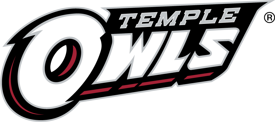 Temple Owls 2014-2020 Wordmark Logo v3 DIY iron on transfer (heat transfer)